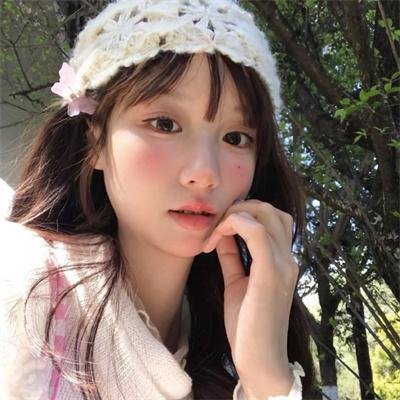 荡寇新传